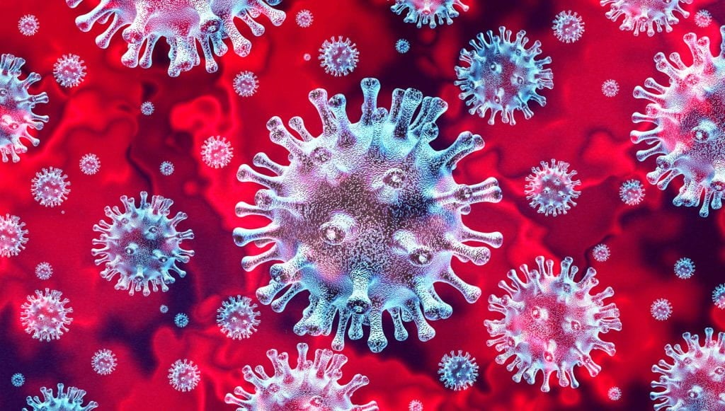 Image of coronavirus cell