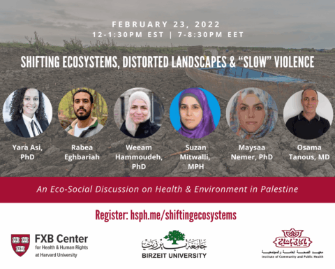 Shifting Ecosystems Event Flyer