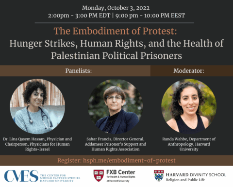 Embodiment of Protest Webinar Flyer