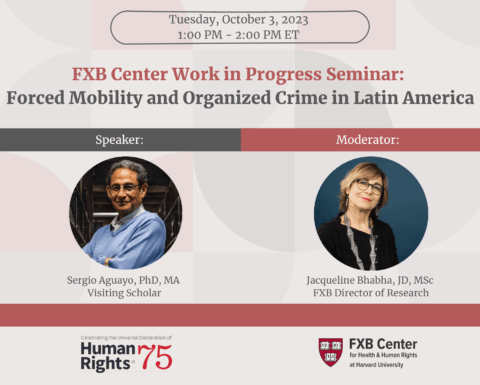 FXB Center Work in Progress Seminar: Forced Mobility and Organized Crime in Latin America