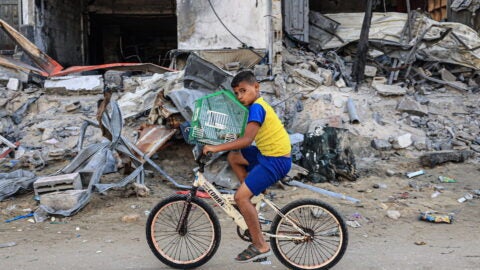 A Palestinian boy transports his bird on a bicycle past a destroyed building in Rafah in the southern Gaza Strip on November 6, 2023