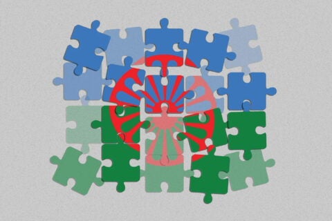 Graphic of puzzle of the Roma flag against grey background. Credit: Mary Delaware / Harvard Public Health.