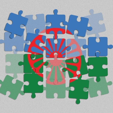 Graphic of puzzle of the Roma flag against grey background. Credit: Mary Delaware / Harvard Public Health.