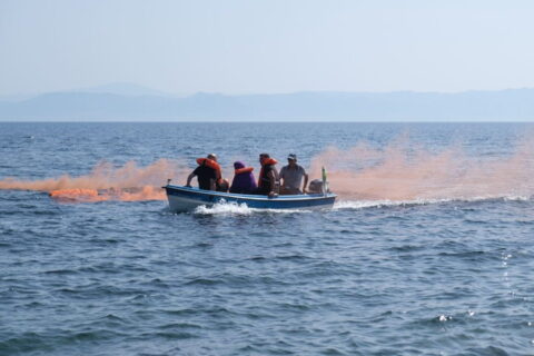 Photo of boat with migrants at sea during simulation exercise in Lesvos, Greece