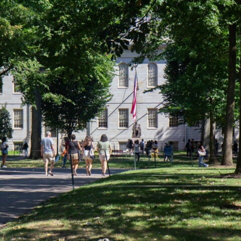Photo of the Harvard Yard. Photo credit: Samuel Ha.