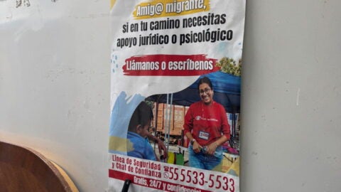 Mexico 2025, poster with resources supporting migrants. Photo courtesy of Jacqueline Bhabha.