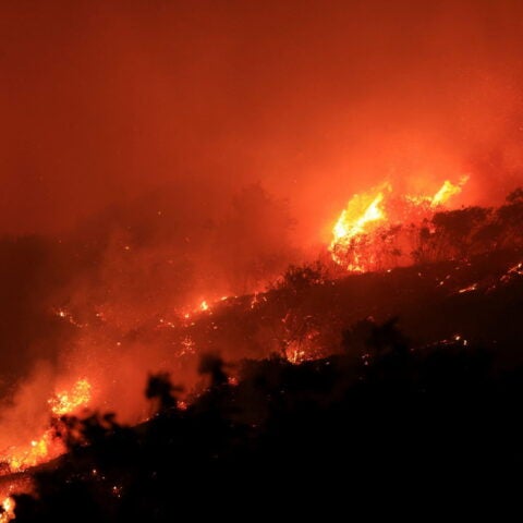 Wide-shot view of a ferocious wildfire spreading across a hillside, with intense flames engulfing the landscape. Credit: Arprince / Shutterstock.