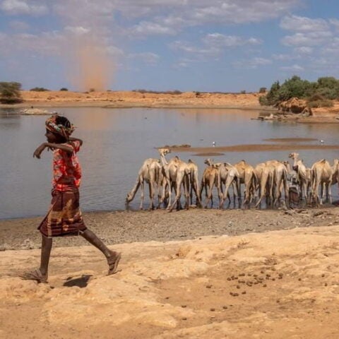 UNICEF/Mulugeta Ayene. A scene from the Somali region of Ethiopia. Countrywide, at least 21 million people face multiple overlapping challenges including conflict, drought, flooding and disease outbreaks