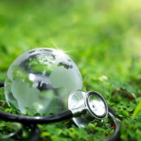 Crystal Earth with a medical doctor's stethoscope on green grass. chayanuphol / Shutterstock