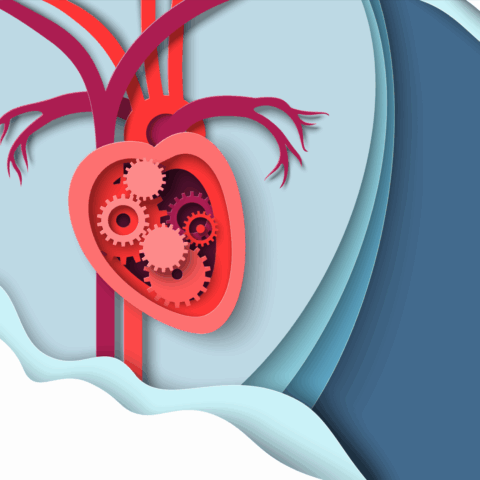 Graphic representation of heart containing gears.