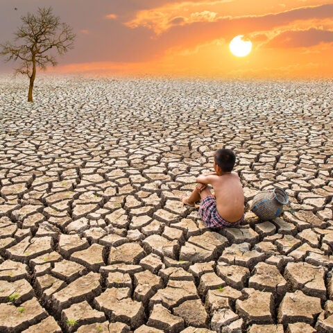 A child sits on a cracked, desolate landscape, with only a single tree in the distance. The sun is setting on the far horizon.