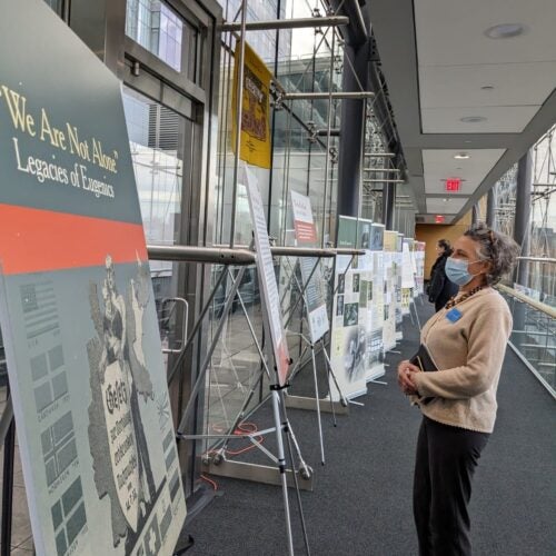 FXB Director Mary Bassett viewing the Legacies of Eugenics exhibition posters at the Martin Center on April 6, 2023.